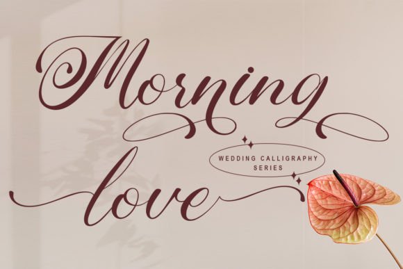 Morning Love: A Script Font for Elegant Branding