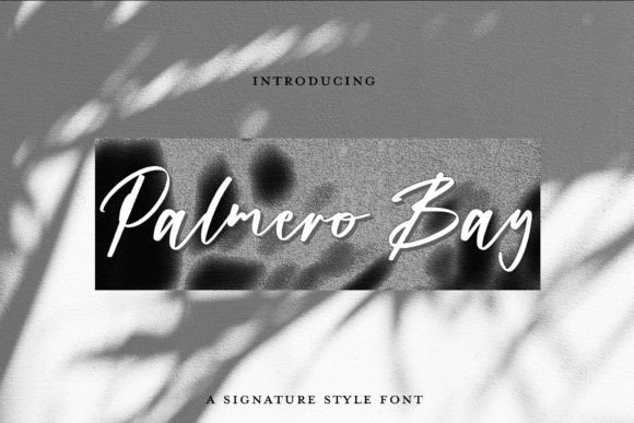 Palmero Bay: A Signature Script for Timeless Branding